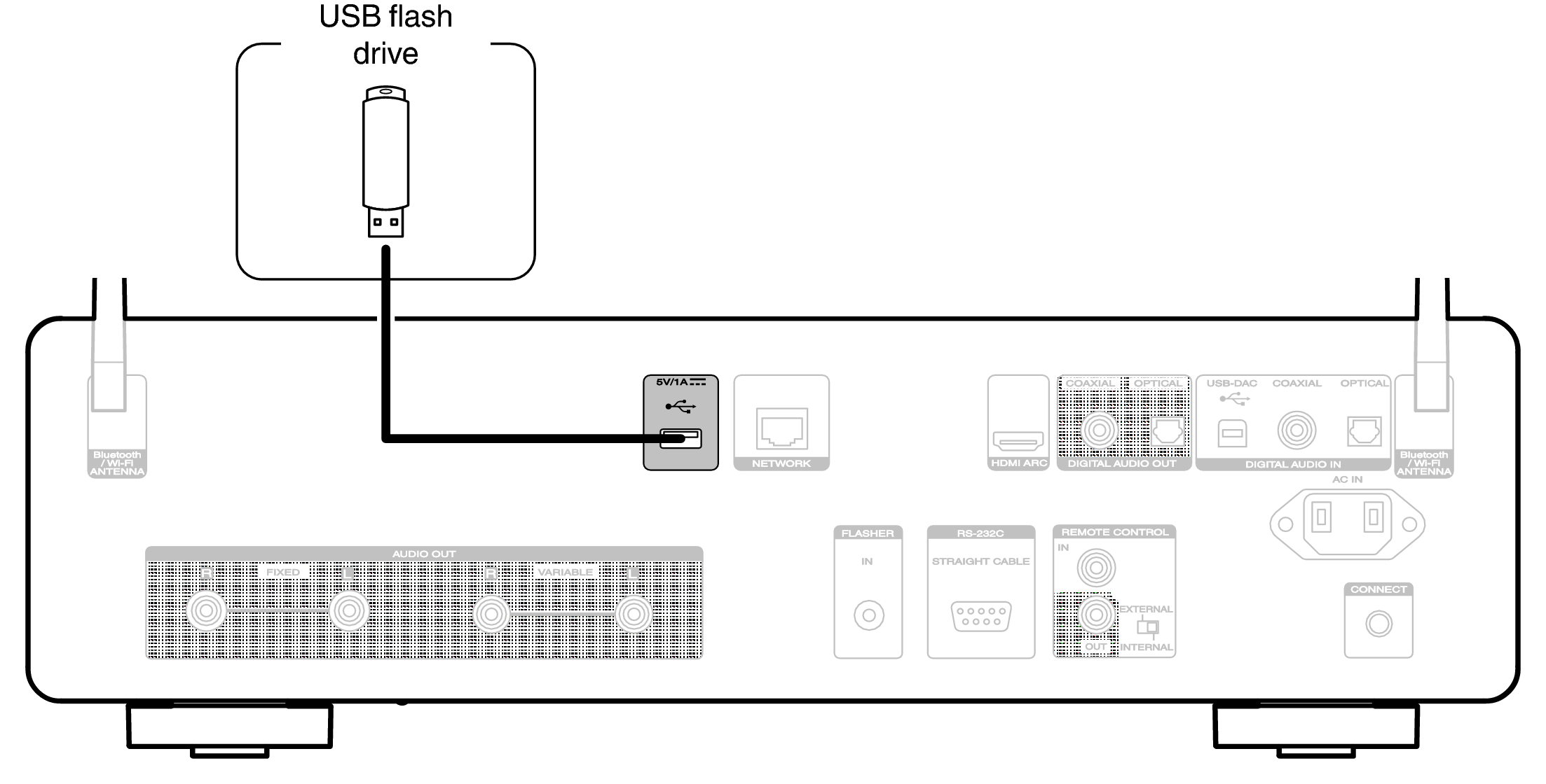 Conne USB Rear CD50n